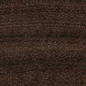 Сиамский палисандр (Dalbergia cochinchinensis) – торец доски – волокна древесины
