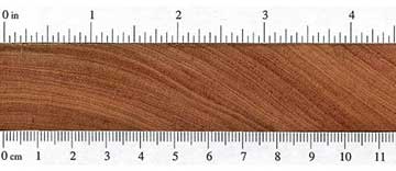 Палисандр Тиете (Guibourtia hymenaeifolia) – торец доски