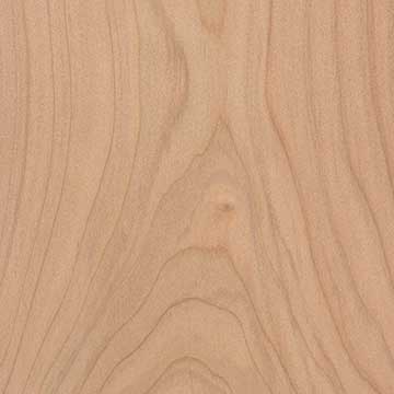 Монтерейский кипарис (Cupressus macrocarpa) – шпон шлифованный