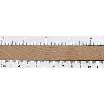 Монтерейский кипарис (Cupressus macrocarpa) – торец доски