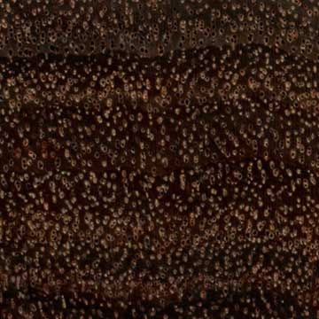 Майалл или Акация остроконечная (Acacia acuminata) – торец доски – волокна древесины, увел. 10х
