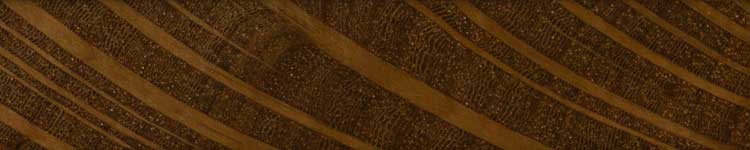 Западный шиоак (Allocasuarina fraseriana) – торец доски