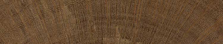 Чёрный шиоак (Allocasuarina littoralis) - торец доски