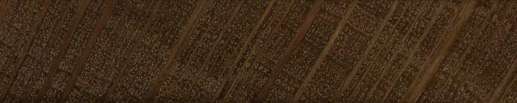 Поникший шиоак (Allocasuarina verticillata) - торец доски