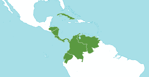 Ареал Anacardium excelsum