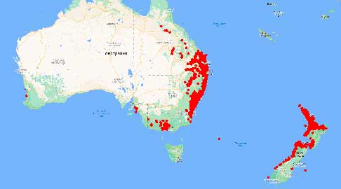 Ареал Angophora costata