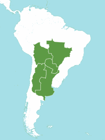 Ареал Calycophyllum multiflorum