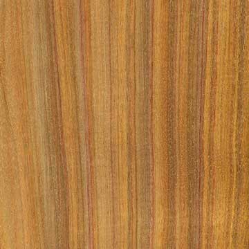 Канарское дерево (Centrolobium microchaete) – шпон шлифованный
