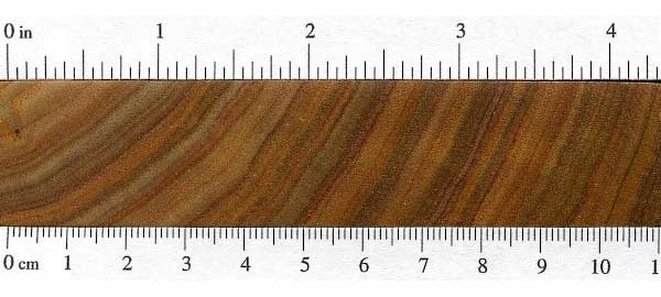 Канарское дерево (Centrolobium microchaete) – торец доски