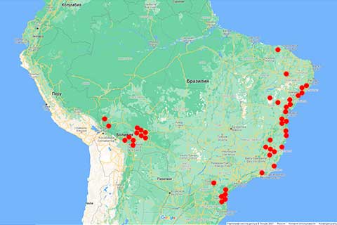 Ареал Centrolobium microchaete