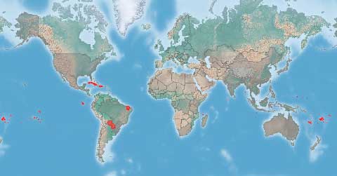 Ареал Aleurites moluccanus