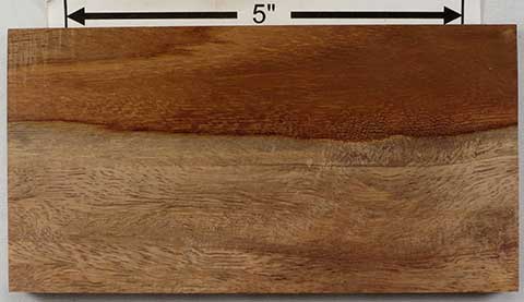 Сиссу – Dalbergia sissoo