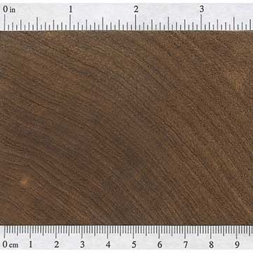Юкатанский палисандр (Dalbergia tucurensis) – торец доски