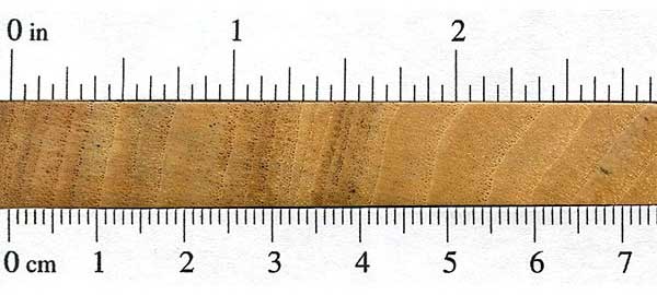 Хурма виргинская (Diospyros virginiana) – торец доски