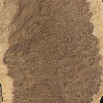 Коричневый Малли (Brown Mallee burl) – шпон шлифованный
