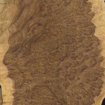 Коричневый Малли (Brown Mallee burl) – шпон под лаком