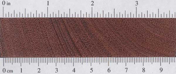 Ярра (Eucalyptus marginata) – торец доски