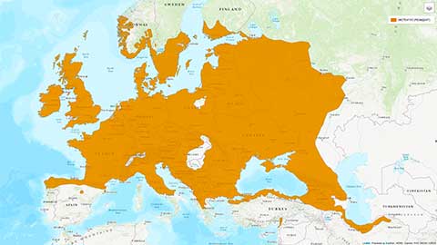 Ареал Fraxinus excelsior