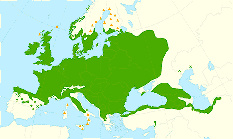 Ареал Fraxinus excelsior