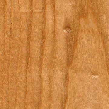 Gymnocladus dioicus - шпон под лаком