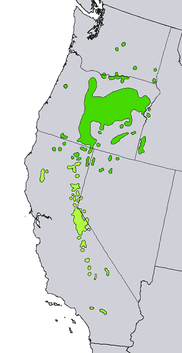 Ареал Juniperus occidentalis