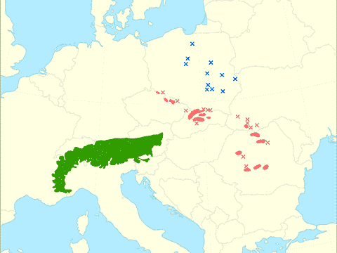 Ареал Larix decidua