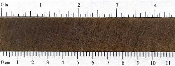 Мансония (Mansonia altissima) – торец доски