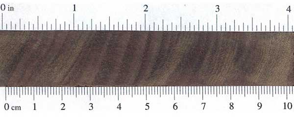 Тропический орех (Juglans spp.) – торец доски