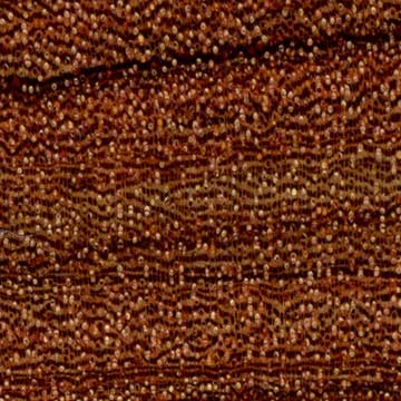 Пау роза (Bobgunnia fistuloides) – древесина под лаком
