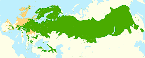 Ареал Pinus sylvestris на карте растений в Евразии