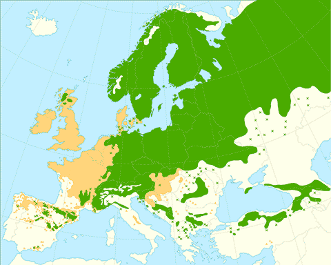 Ареал Pinus sylvestris на карте растений в Европе