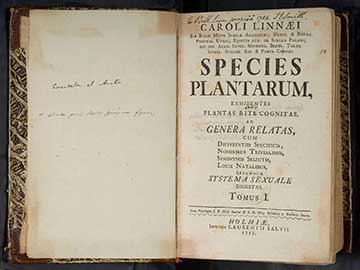 Труд Карла Линнея Species Plantarum (Виды растений)