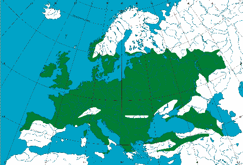 Ареал Quercus robur