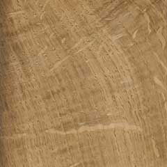 Дуб черешчатый (Quercus robur) – древесина под лаком