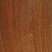 Балау – Shorea spp.