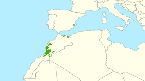 Ареал Sideroxylon spinosum
