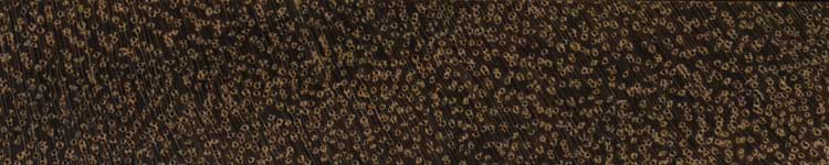 Татабу (Diplotropis purpurea) – торец доски