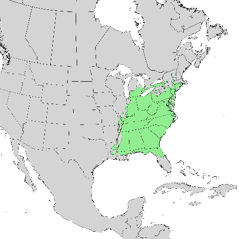 Ареал Liriodendron tulipifera
