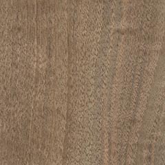Орех грецкий (Juglans regia)